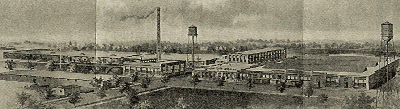 1930s Plant