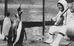 Harry Reser playing the banjo to Clicquot penguins